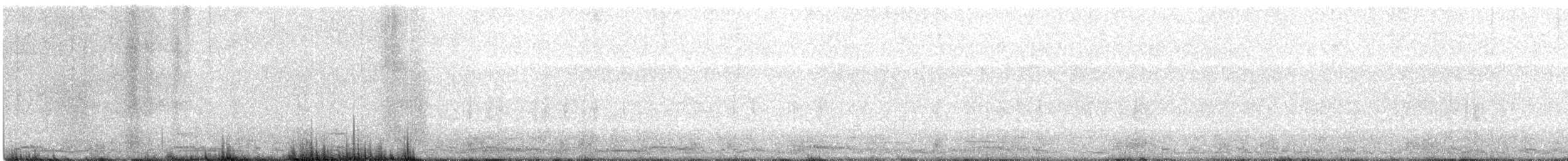 labuť malá (ssp. columbianus) - ML615484539
