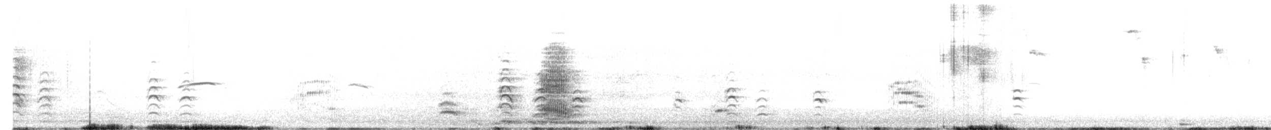 australstylteløper - ML615490984
