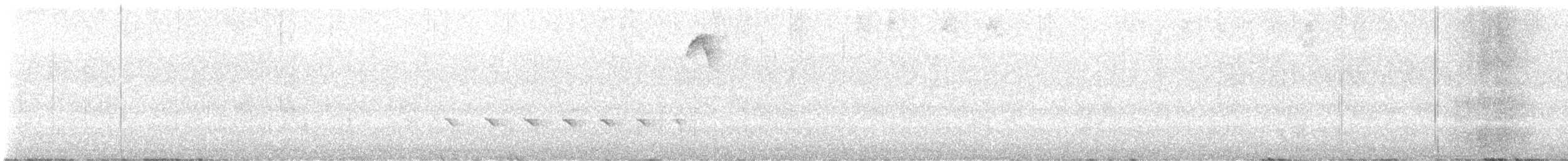 Чёрный тапакуло (subcinereus) - ML615491662