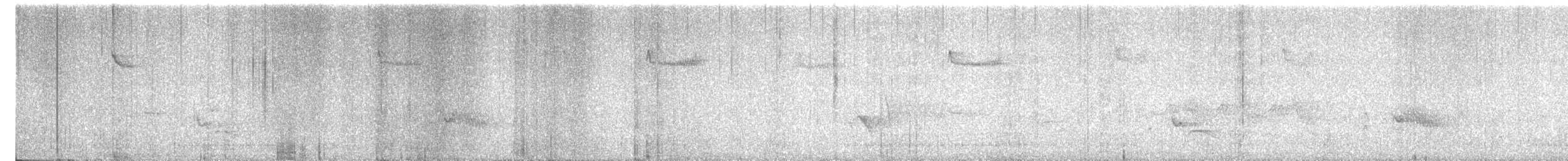 strakapoud americký (ssp. orius/icastus) - ML615494203
