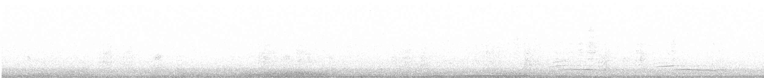 páv korunkatý (domestikovaný) - ML615494349