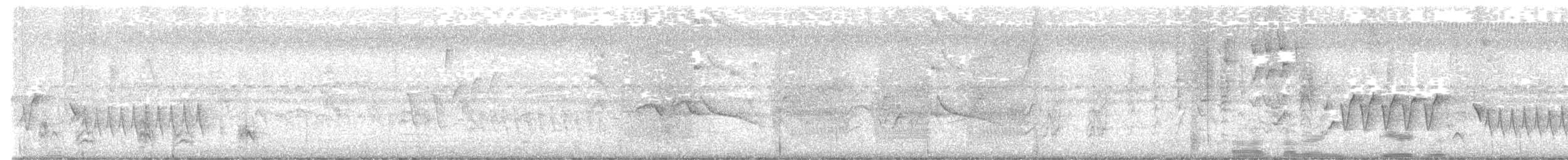Kara Giysili Karıncakuşu - ML615497744