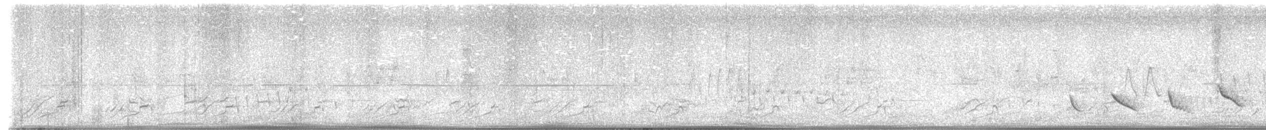 Зернолуск смугастоволий - ML615497831