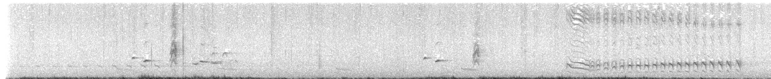 svarttoppmaurvarsler - ML615499754