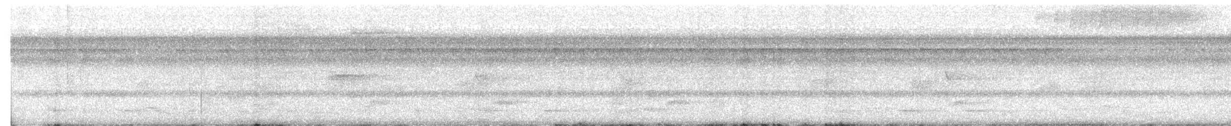 amazonvatretreløper (concolor) - ML615517679