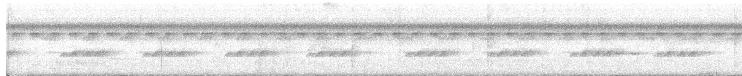 Tropfenmantel-Ameisenvogel - ML615518254