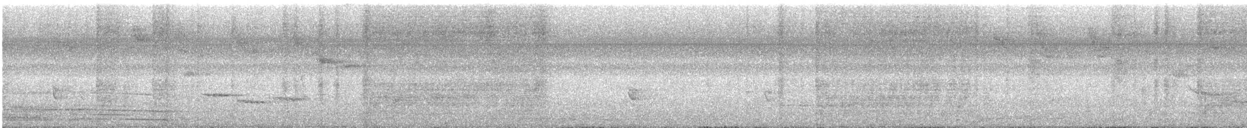 Papamoscas de Manglar (grupo blythi) - ML615518543