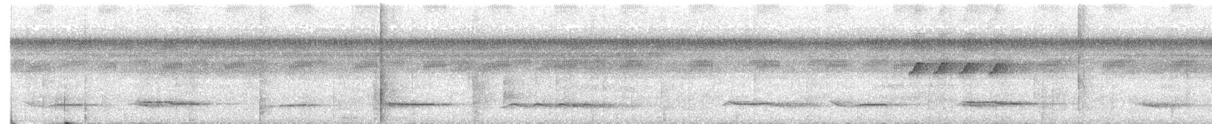 White-necked Thrush - ML615519812