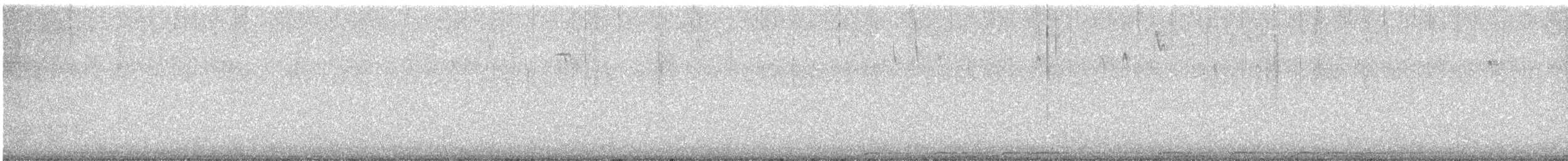 Chouette rayée - ML615520125