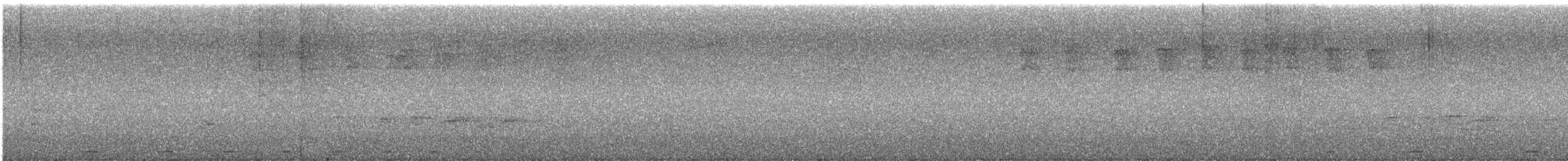 Phapitréron à oreillons blancs (nigrorum) - ML615521743