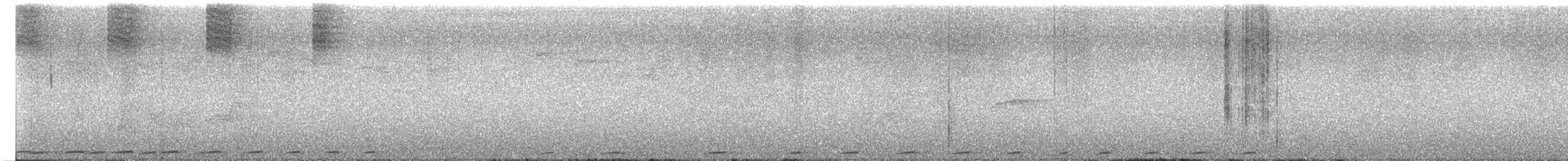 Белоухая горлица (nigrorum) - ML615522466