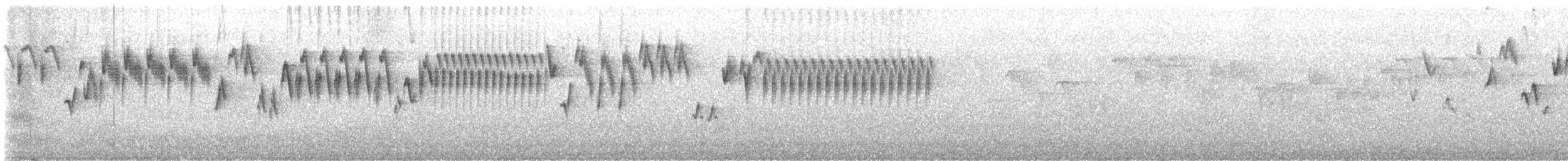 Troglodyte de Baird - ML615522897