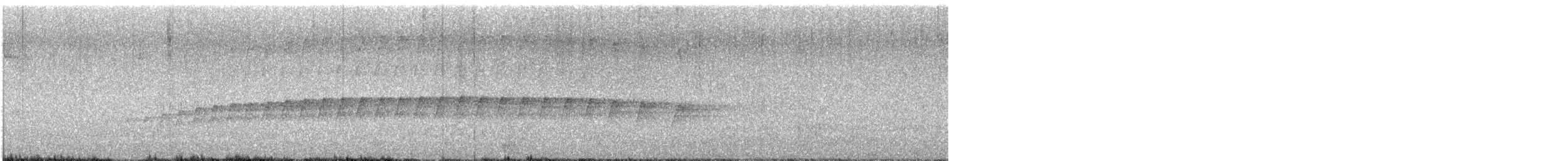 kukačka kaštanovoprsá - ML615523078