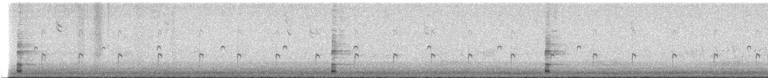 Ring-necked Pheasant - ML615526875