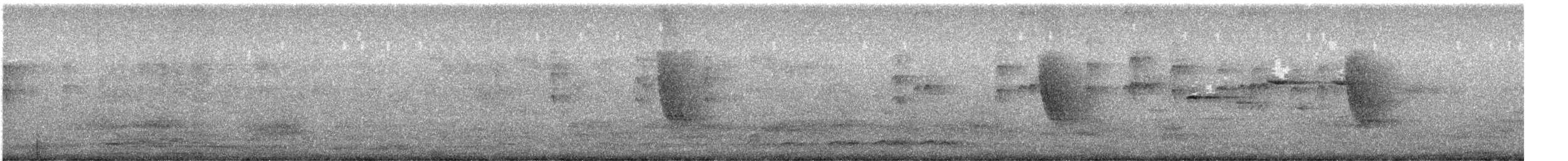Тихоокеанский коэль (cyanocephalus/subcyanocephalus) - ML615528638