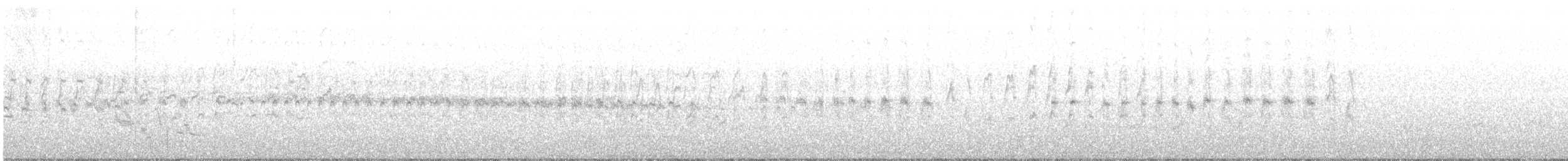White-throated Swift - ML61552901