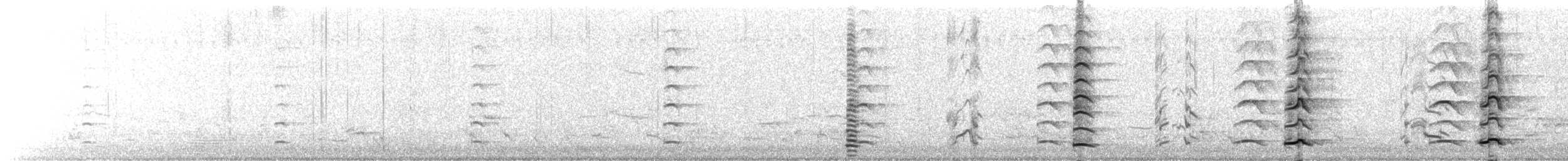 slípka novozélandská - ML615530139