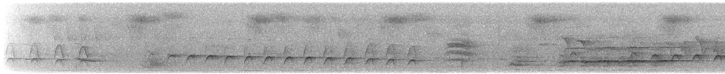 White-flanked Antwren (White-flanked) - ML615532989