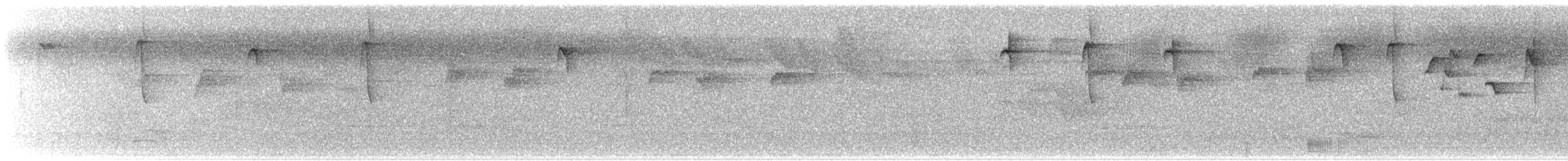 Пестрогорлый колибри-отшельник - ML615533772