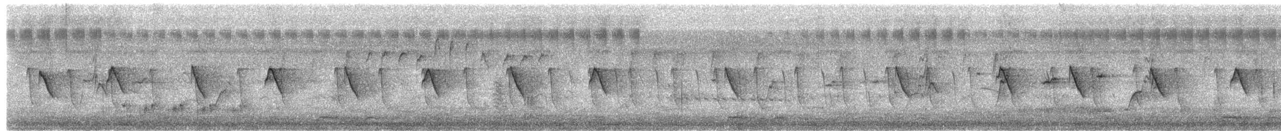 Коричневогорлая нектарница - ML615536157