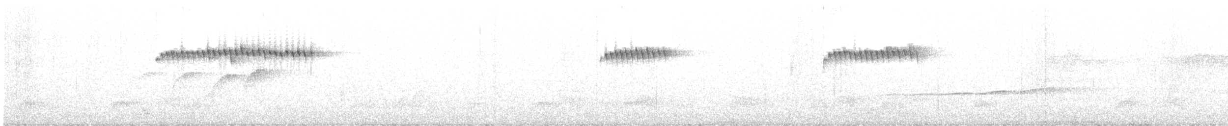 Траурная нектарница - ML615536995