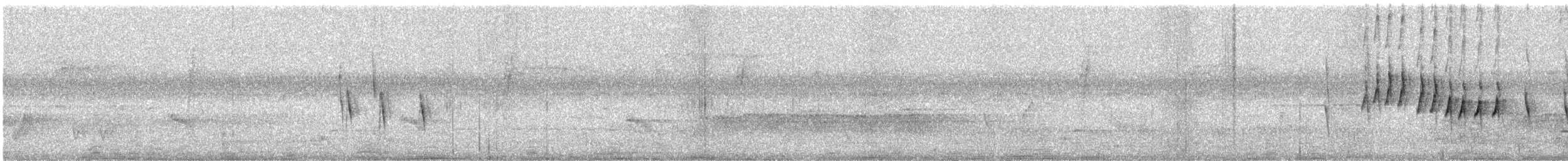 Spot-throated Babbler - ML615537052