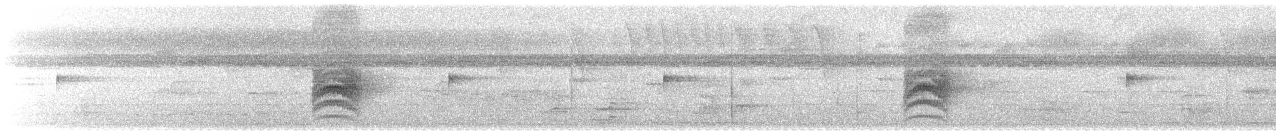Kestane Sırtlı Karıncakuşu - ML615538293