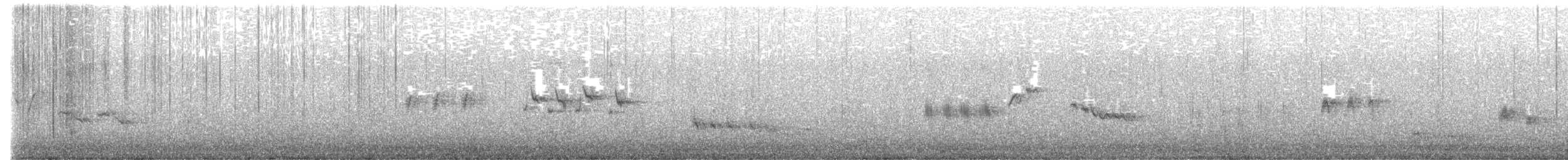 Mirlo Acuático Norteamericano - ML615541783