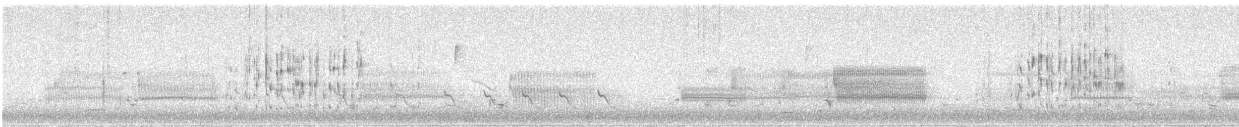 střízlík bažinný [skupina palustris] - ML615552531