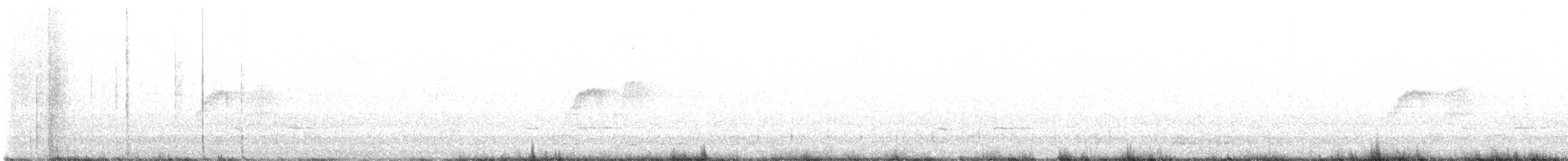 Светлобрюхий фиби - ML615556789