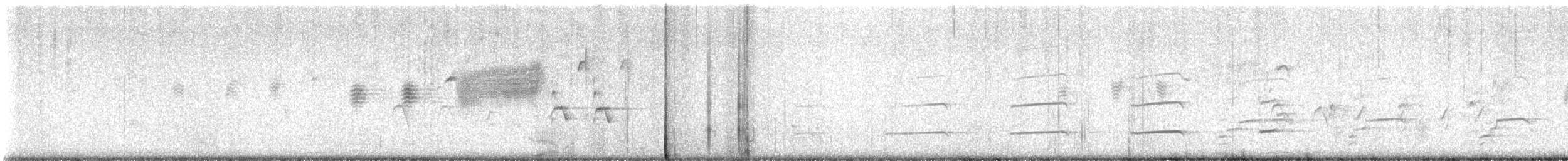 ハクトウワシ - ML615557542