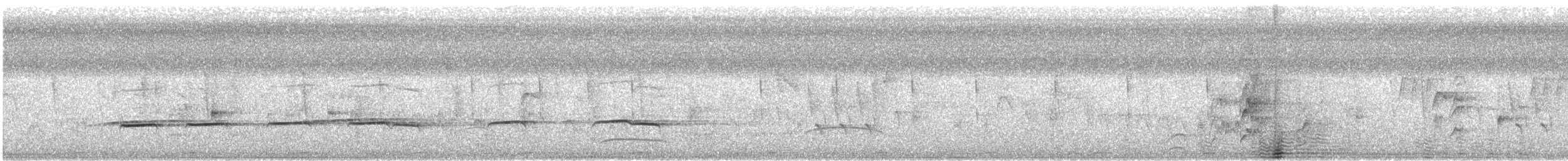 Striped Cuckoo - ML615566527
