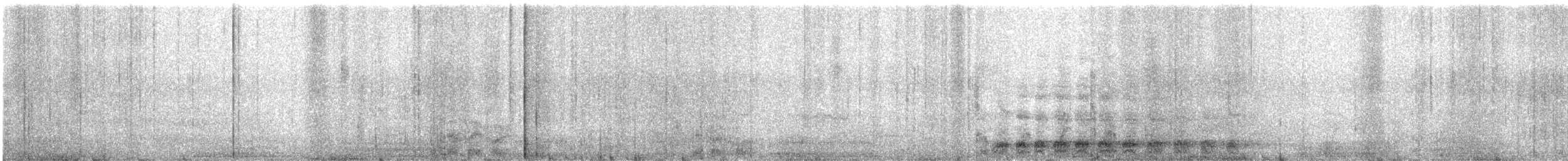 Серый павлиний фазан - ML615566657