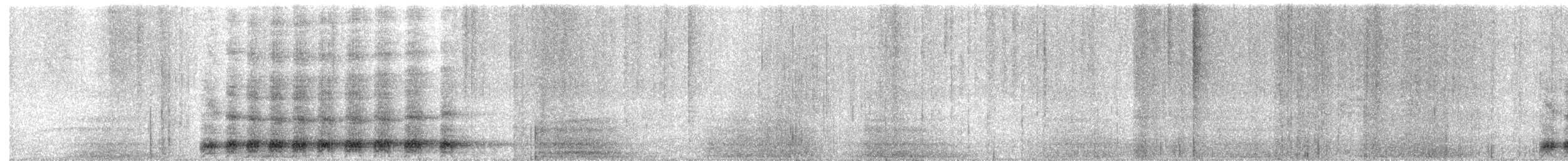 Віялохвіст сірий - ML615566661