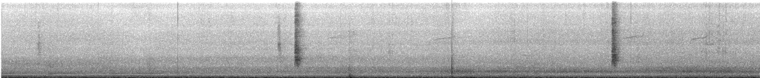 Northern Mockingbird - ML61556951