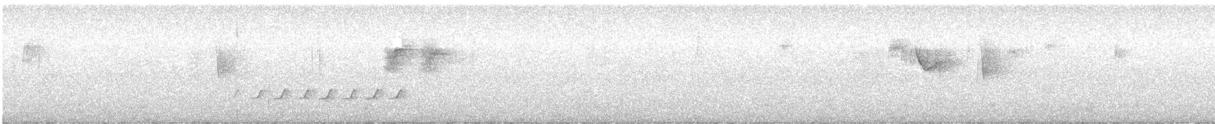 Белогорлая ложнопищуха [группа leucophaea] - ML615570297
