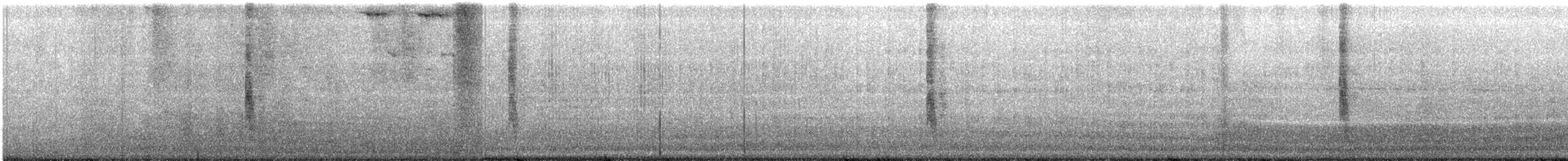 Northern Mockingbird - ML61557071