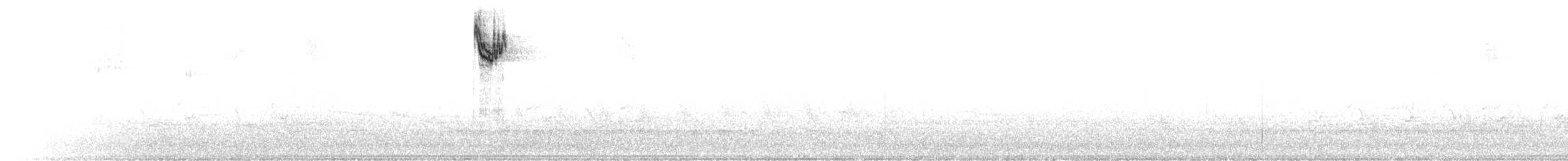 Белогорлая зонотрихия - ML615576379