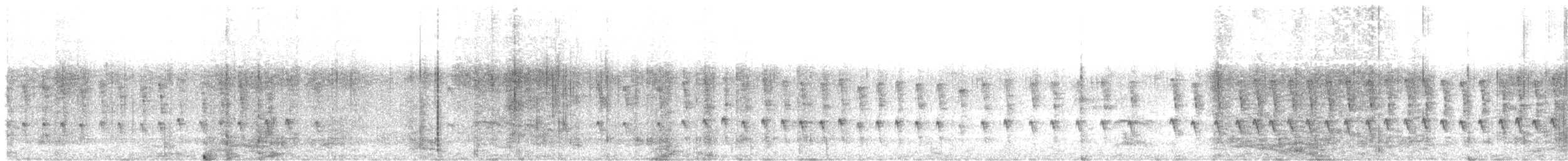 Fadenschwanzschlüpfer - ML615579069