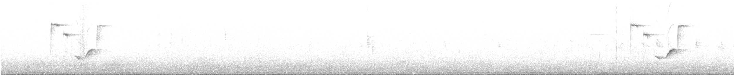 ヨーロッパシジュウカラ - ML615579220