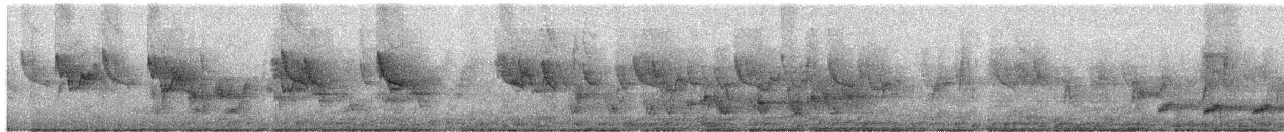 斯氏繡眼(綠繡眼) - ML615580838