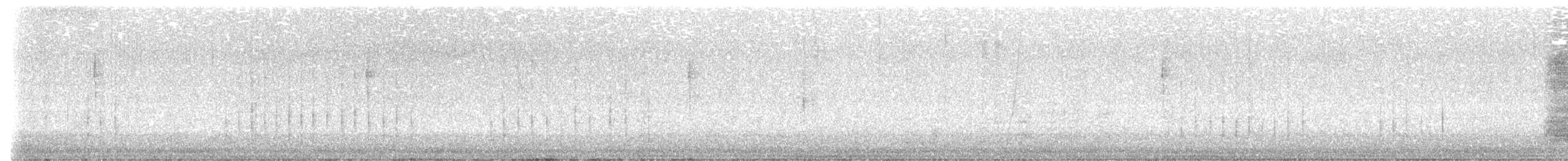 Geai à gorge blanche - ML615583897