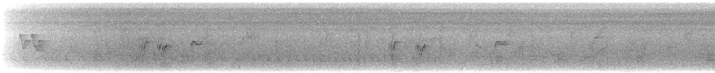 Güneyli Sert Kanatlı Kırlangıç - ML615584994