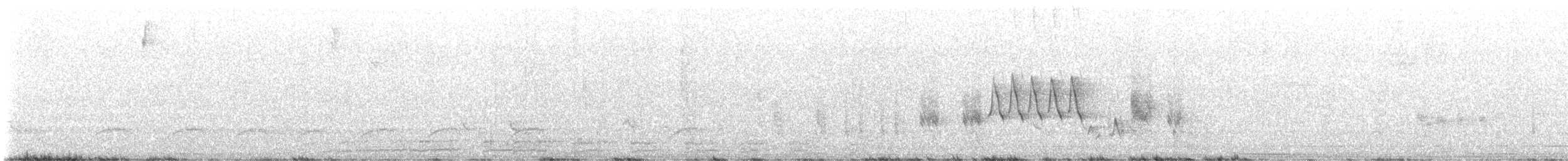 Ev Çıtkuşu (grenadensis) - ML615585134