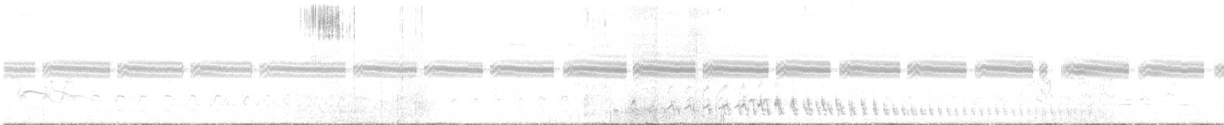 Желтобородая иглохвостка - ML615585302