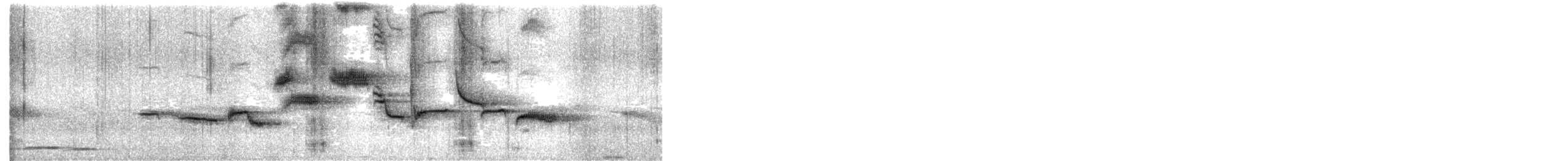 White-bellied Sholakili - ML615585672