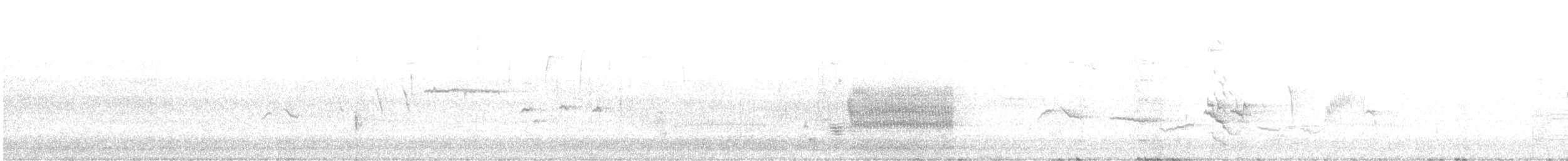 Пестрогрудая овсянка (Лисья) - ML615586062