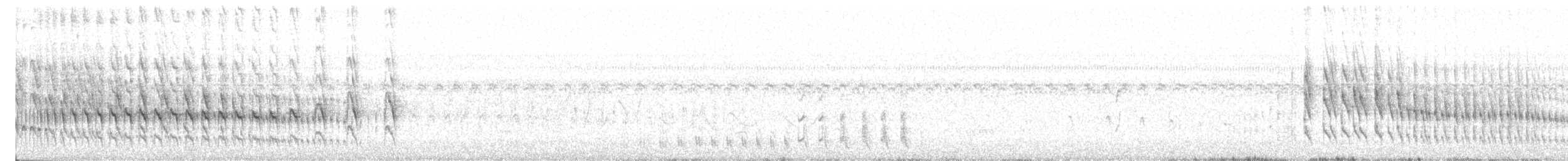Желтогорлая пищуховая иглохвостка - ML615586934