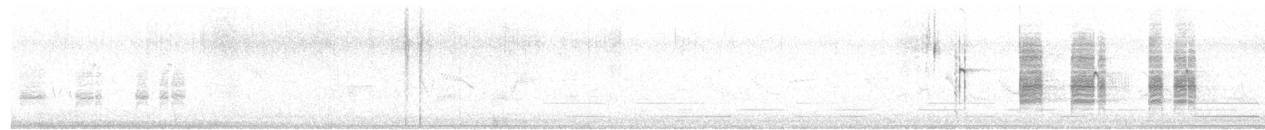 halsbåndfrankolin (henrici gr.) - ML615586940