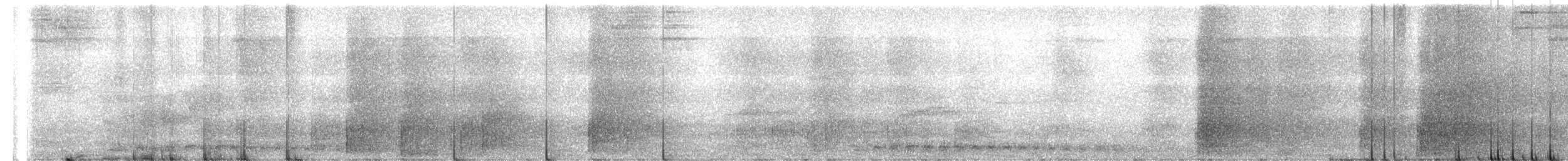Серый павлиний фазан - ML615587108